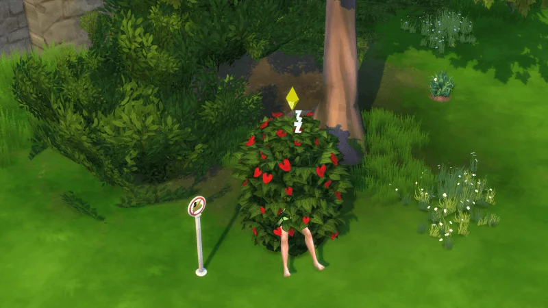 Crac crac buisson sims 4 vivre ensemble