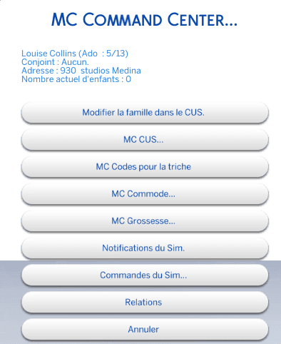 Zoom sur le MC Command Center Sims 4