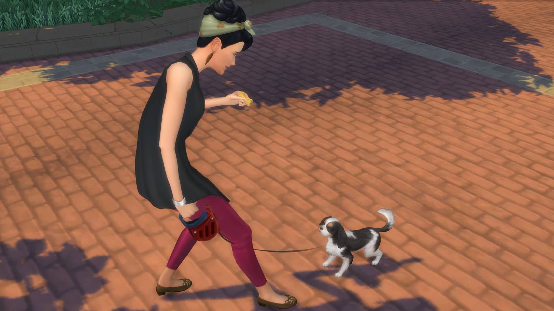 Friandise sims 4 chiens et chats
