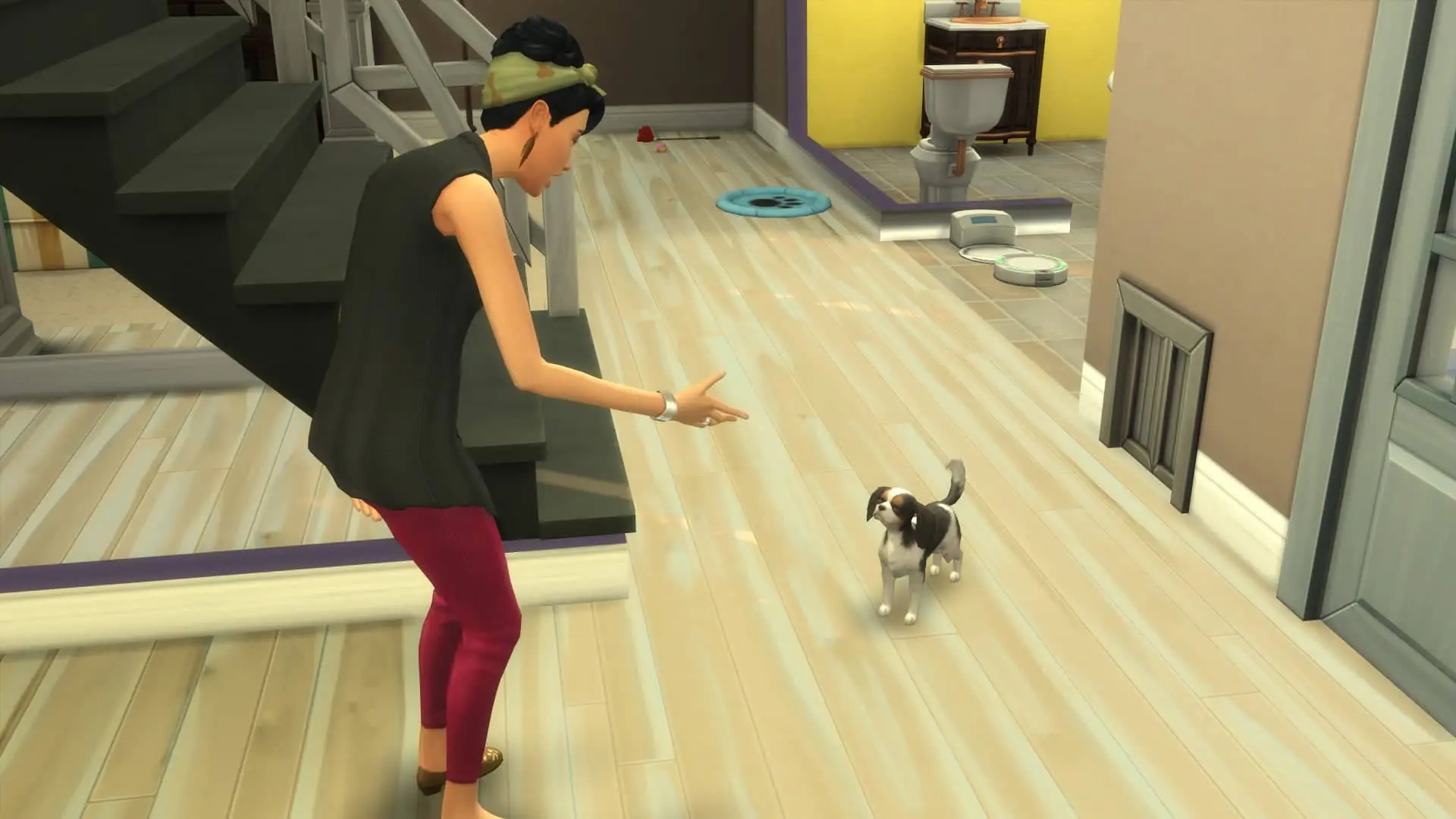 Qu'est-ce qui ne va pas sims 4 chiens et chats