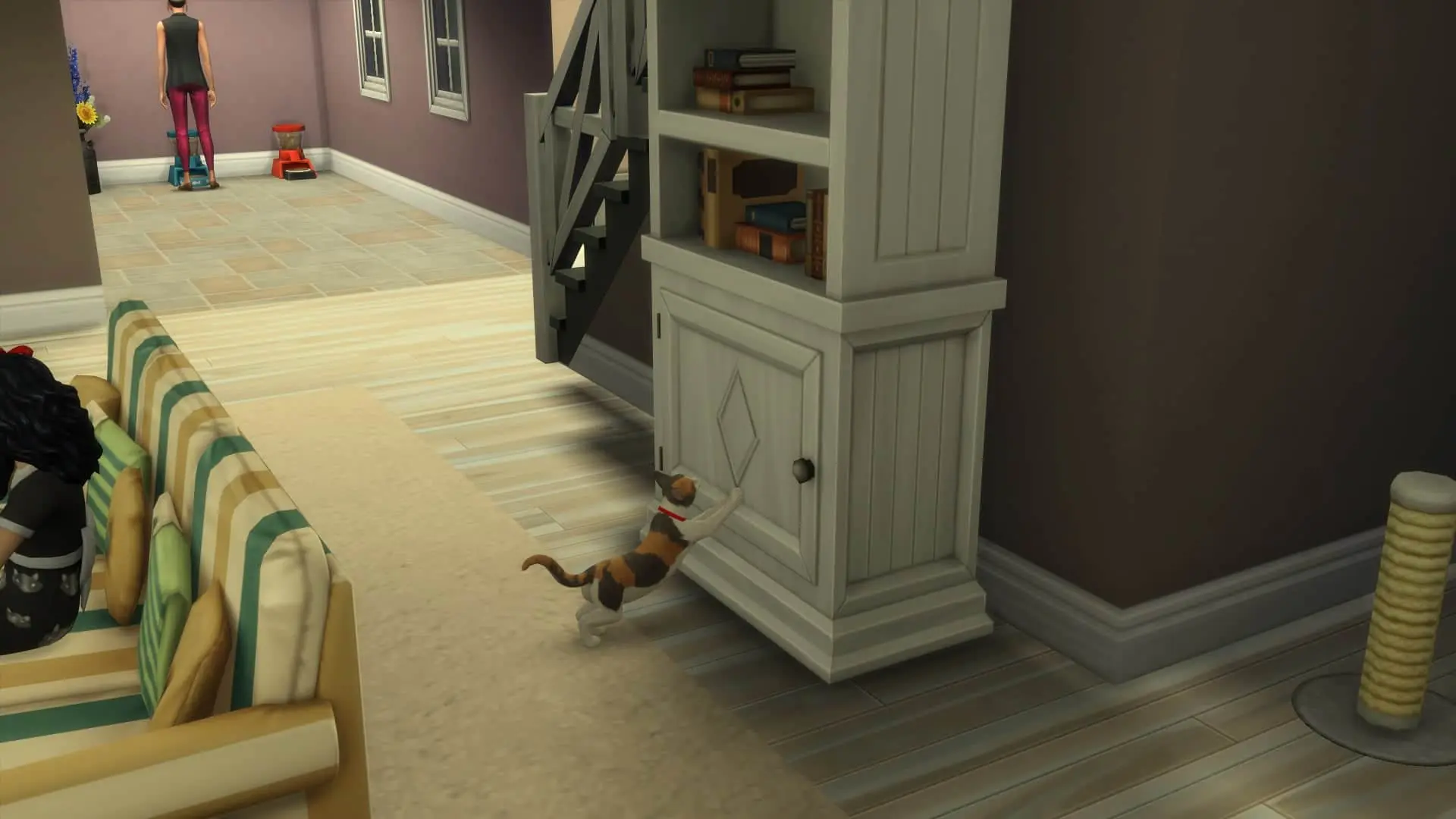 Chats fait ses griffes Sims 4 Chiens et Chats