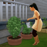 Sims arrosant des plantes