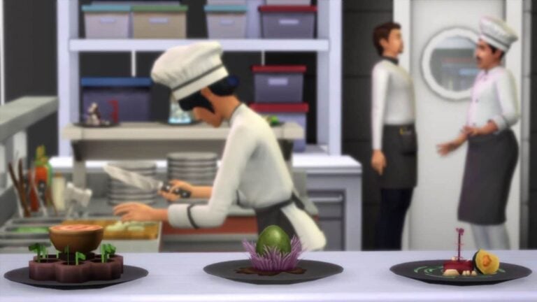 Cuisine Sims, chefs et plats gastronomiques.