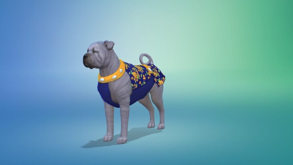 Tenue chien Sims 4 Premier Animal de Compagnie