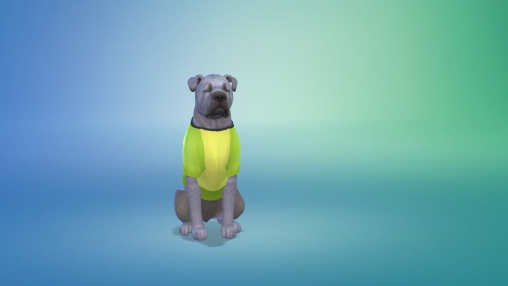 Tenue chien Sims 4 Premier Animal de Compagnie