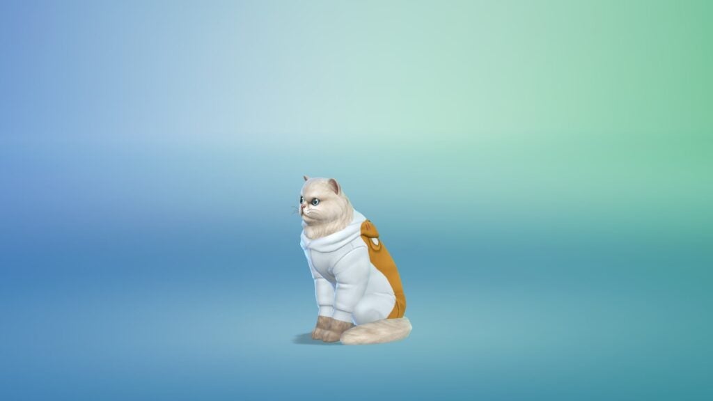 Tenue chat Sims 4 Premier Animal de Compagnie