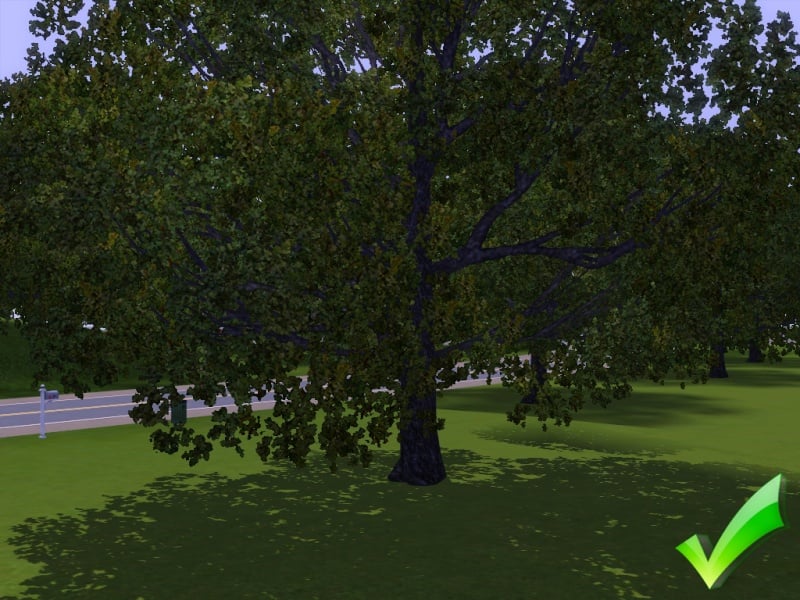Faire de bonnes photos dans Les Sims 3