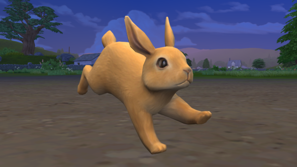 Elever des animaux dans Les Sims 4 Vie à la Campagne