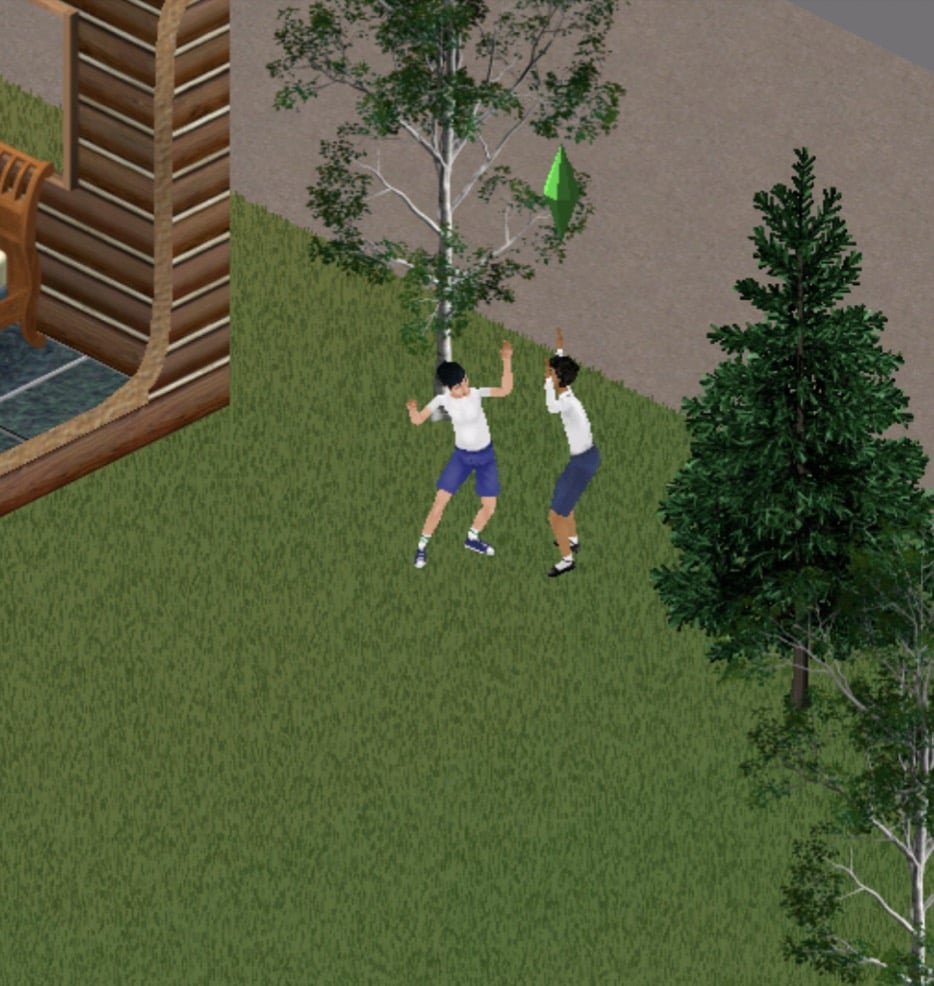 Grandir dans le monde des Sims