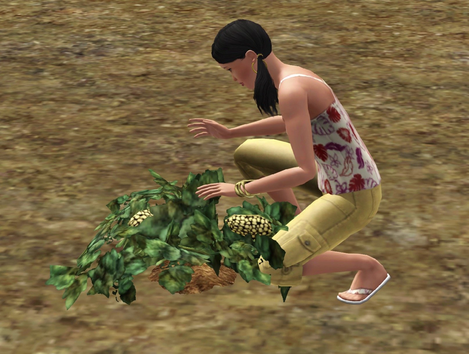 Fabricación de néctar en Los Sims 3