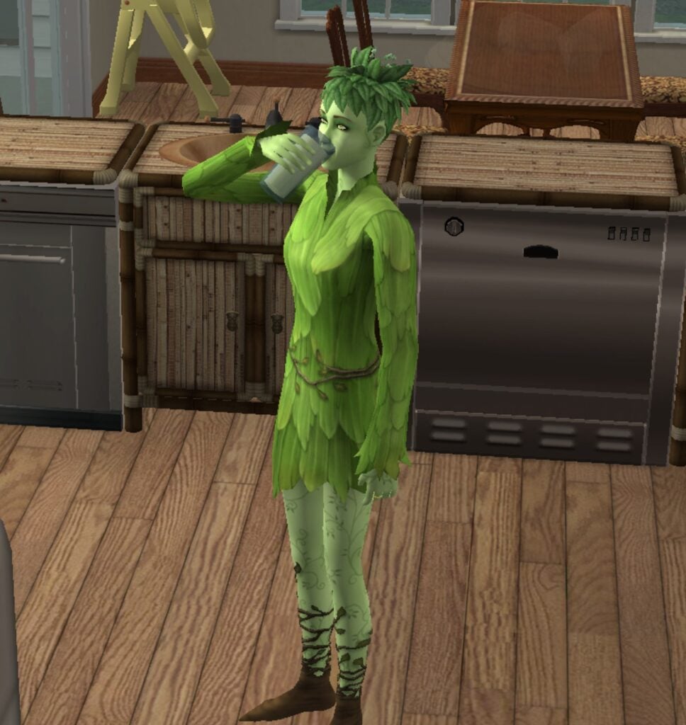 La fabrication de jus dans Les Sims 2
