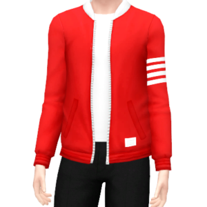 veste bomber