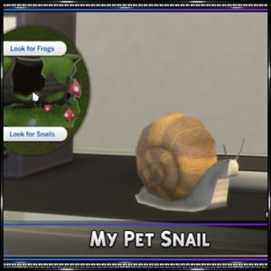 Mon escargot de compagnie