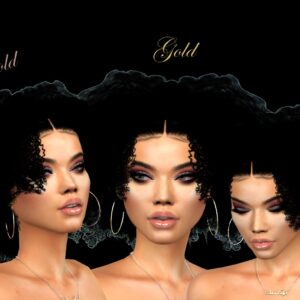newluxurioussims4 Basic Hoop