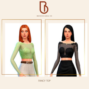 Fancy Top ✨