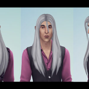 Shandir - Cheveux longs masculins 01