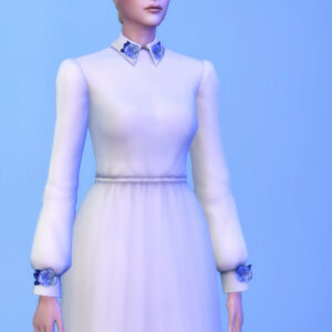 Robe bleuâtre IV