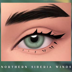 Sourcils N4-6