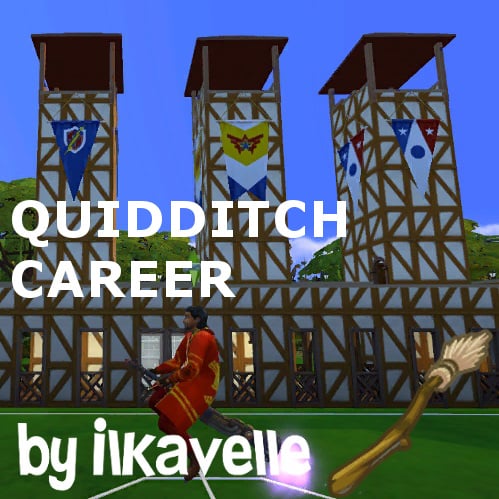 Joueur de Quidditch