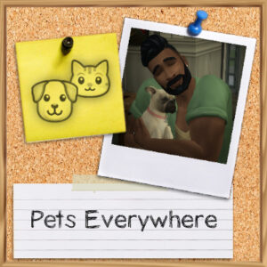 Des animaux partout