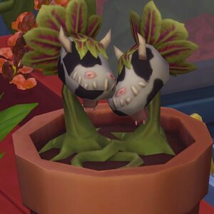 Plante duo d'aubépine