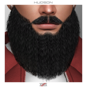 Hudson - barbe