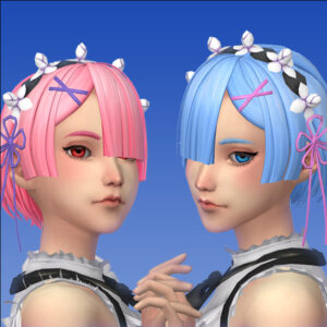Cheveux Ram/Rem