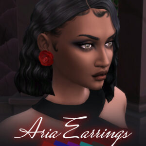 Boucles d'oreilles Aria (Collection FDM)