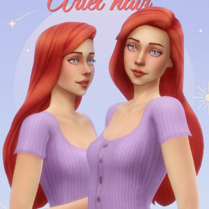 Coiffure d'Ariel
