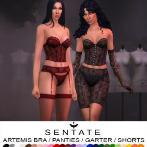 Ensemble de sous-vêtements Artemis