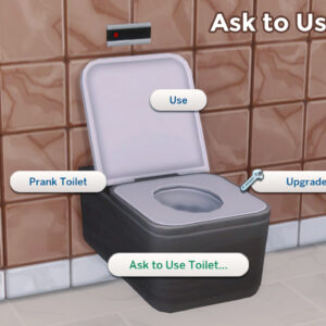 Demander à utiliser les toilettes