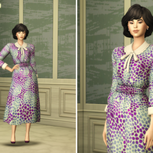 Princesse de ...VII - Robe rétro à épaulettes