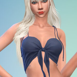 Myrtille - Taylor Top