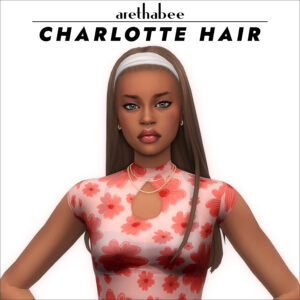 Cheveux de Charlotte - Aretha