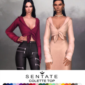 Colette Top (2 Versions)