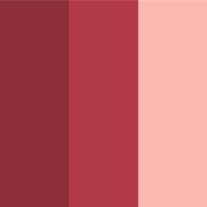 Fonds d'écran Coolors Custom Palette - Dusty Reds