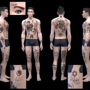 Tatouages de fusion sur tout le corps - également en séparé