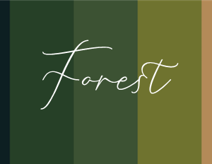 Fonds d'écran Coolors Custom Palette - Forêt