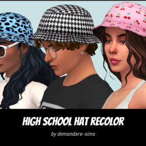 Chapeau du lycée