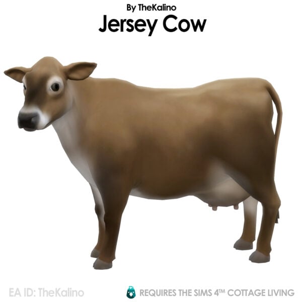 Vache Jersey pour l'étable