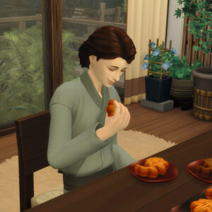 Manju de Maple Leaf - 4 saveurs