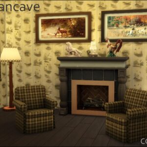 Décor Mancave DV
