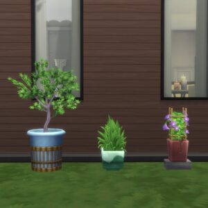 Amy's Garden Plants (Séparé)