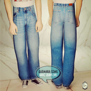 Jeans de base (Homme)