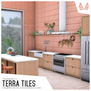 Tuiles en terre cuite