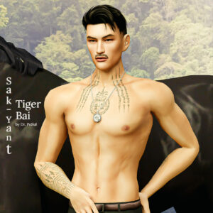 Collection de tatouages : Sak Yant | Pallet | Tiger Bai