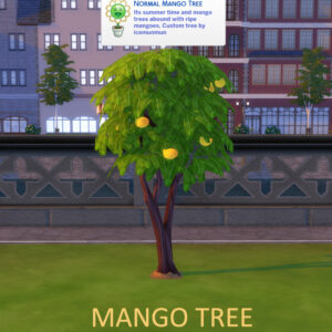 Mangue récoltable