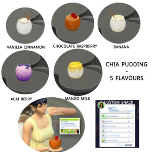 Set de pudding au chia