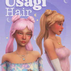 Cheveux d'Usagi
