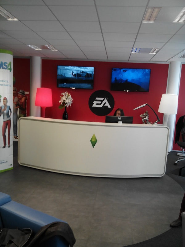 Les Sims 4 Vivre Ensemble [10 décembre 2015] - Page 8 199773IMG20151118091156